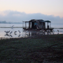 Screenshot_1 Screenshot_1