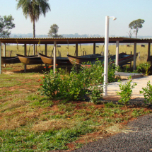 Screenshot_10 Screenshot_10